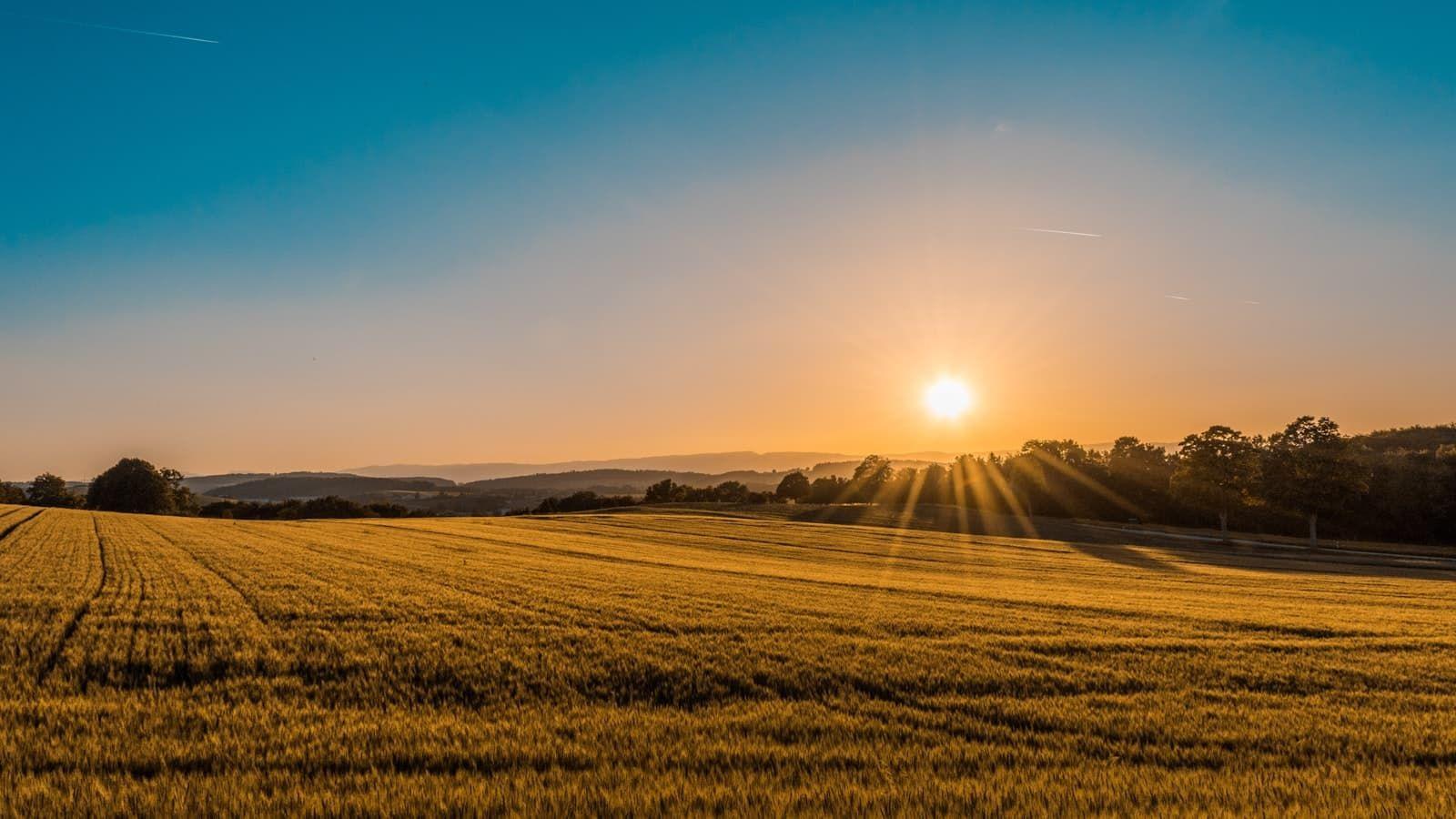 Private Chef in Blandford Forum