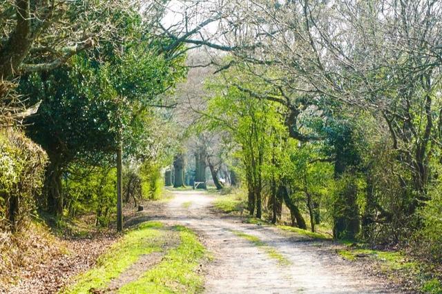 Private Chef in New Forest
